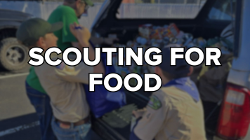 Scouting For Food